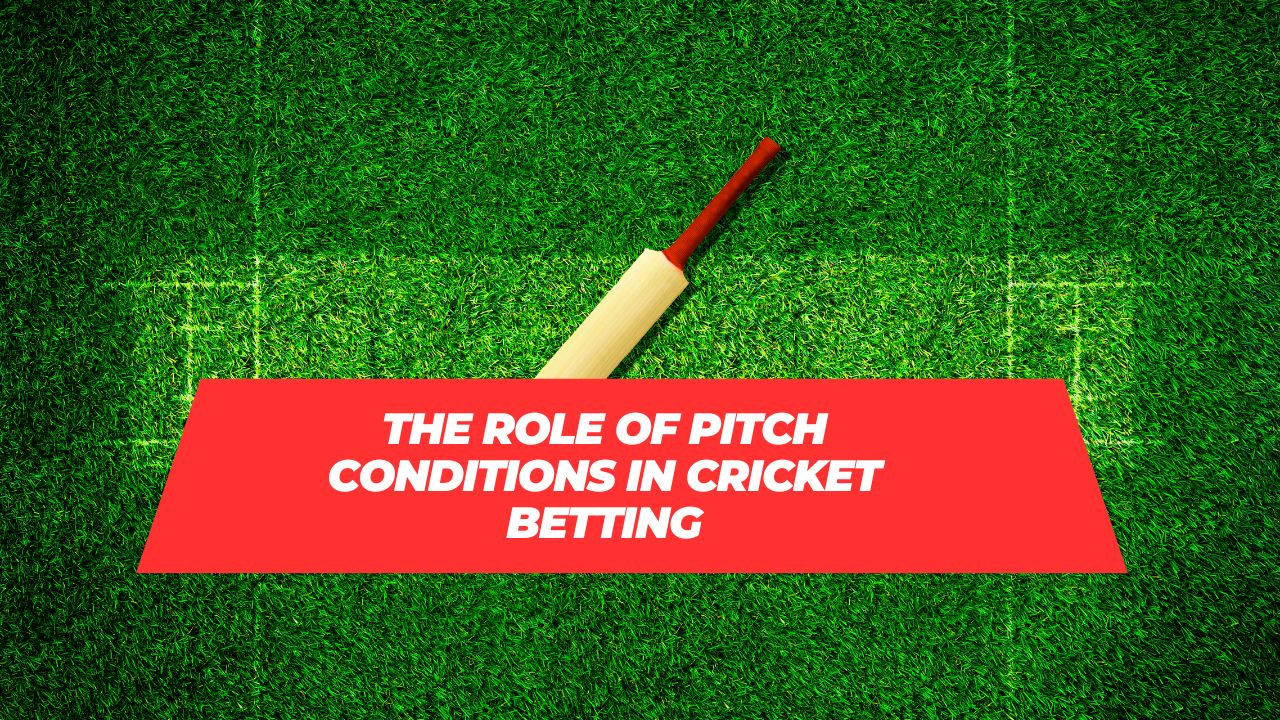 Pitch conditions in cricket betting